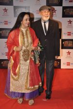 Ila Arun at Big Star Awards red carpet in Andheri, Mumbai on 18th Dec 2013